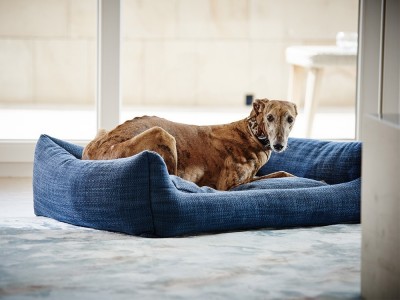 Cama pequeña para perro Telma Acomodel