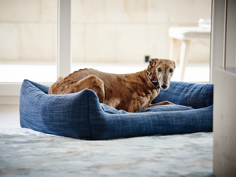 copy of Cama pequeña para perro Telma Acomodel - 5