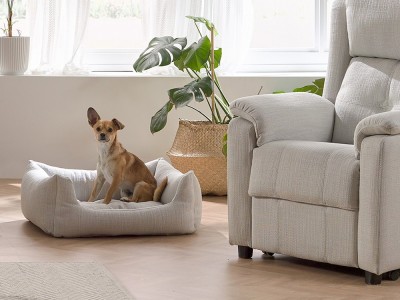 Cama mediana para perro Telma Acomodel