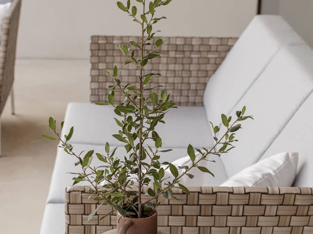 Sofá de dos o tres plazas para salón exterior en fibra trenzada Brafta de Skyline - 5