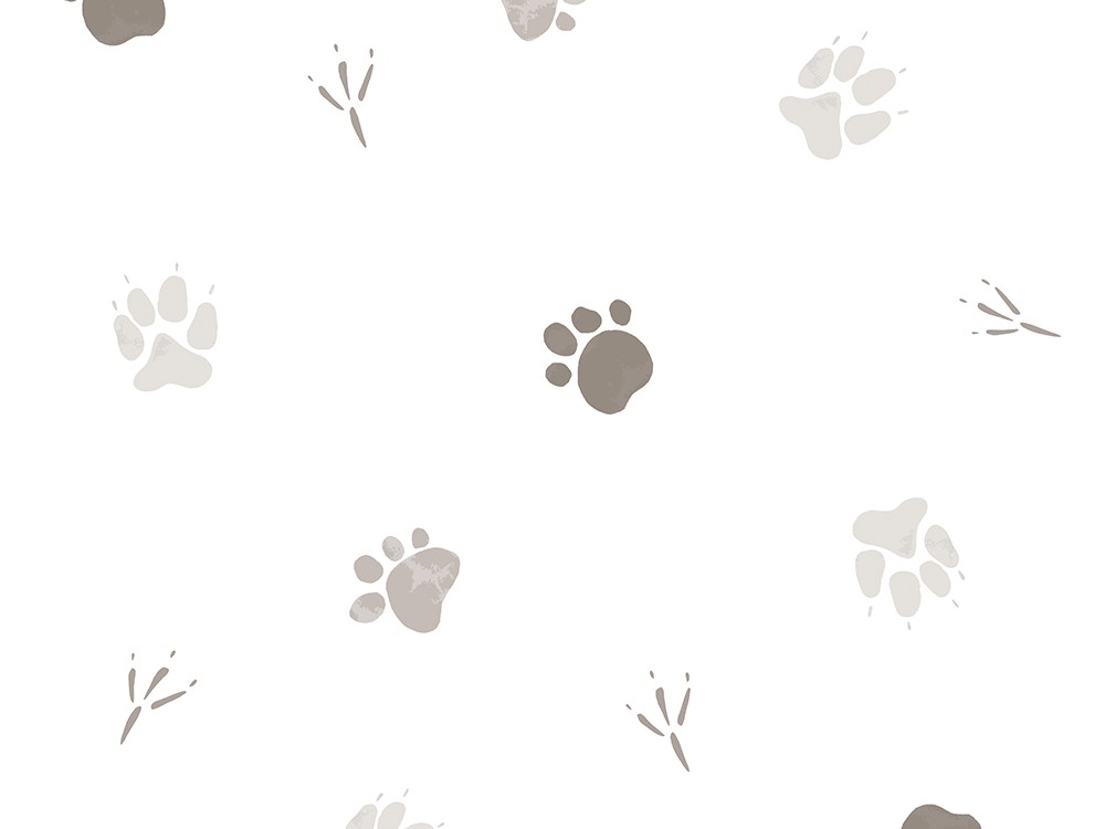 Papel pintado Footprint de Ros - 1