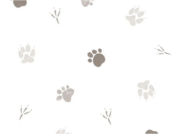 Papel pintado Footprint de Ros - 1
