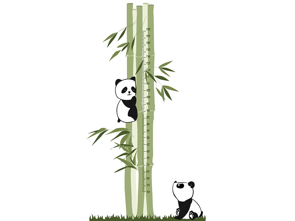 Medidor vinilo Panda de Ros - 1