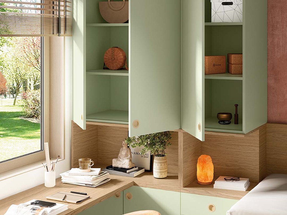 Bicama Zencore Delulu 15 de Ros - 5