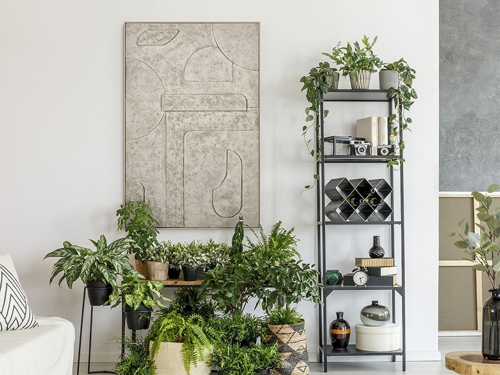 Obra original Fornells 03 de Teresa Alonso, perspectiva 10