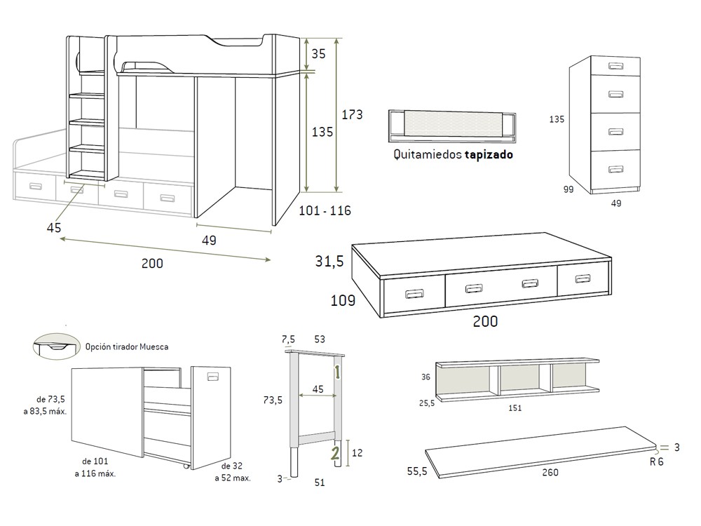 Cama tren y escritorio F211