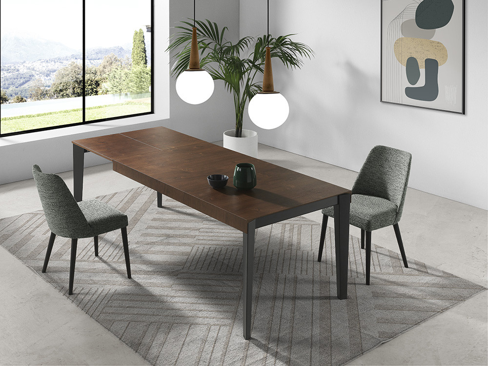 Mesa extensible Alfa