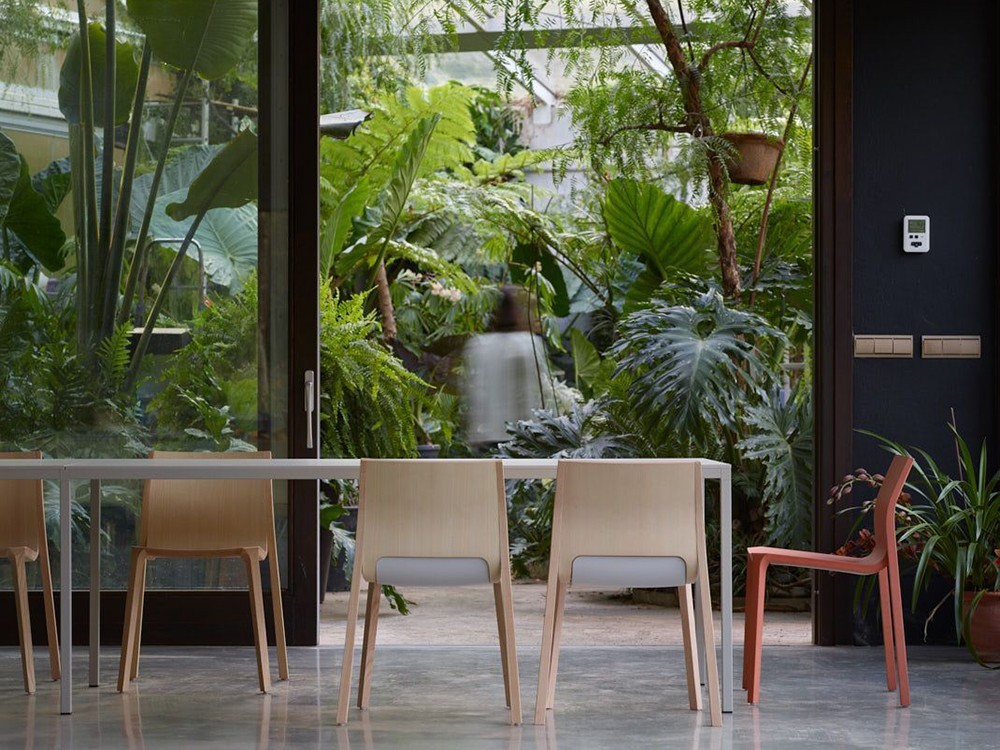 Silla de fresno o roble Silu