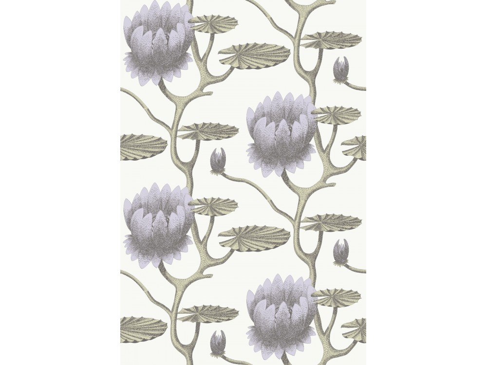 PAPEL PINTADO COW PARSLEY COLE & SON