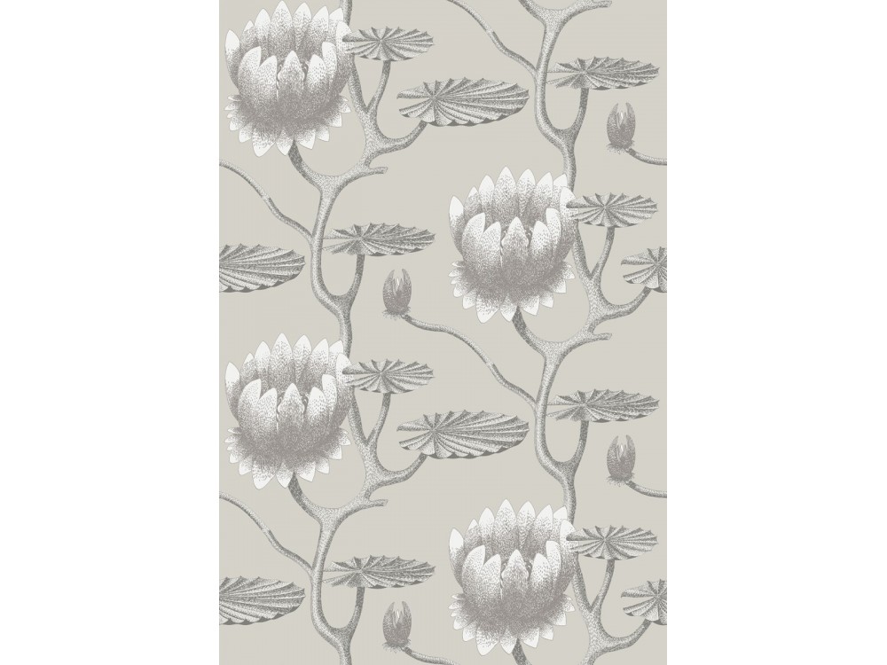 PAPEL PINTADO COW PARSLEY COLE & SON