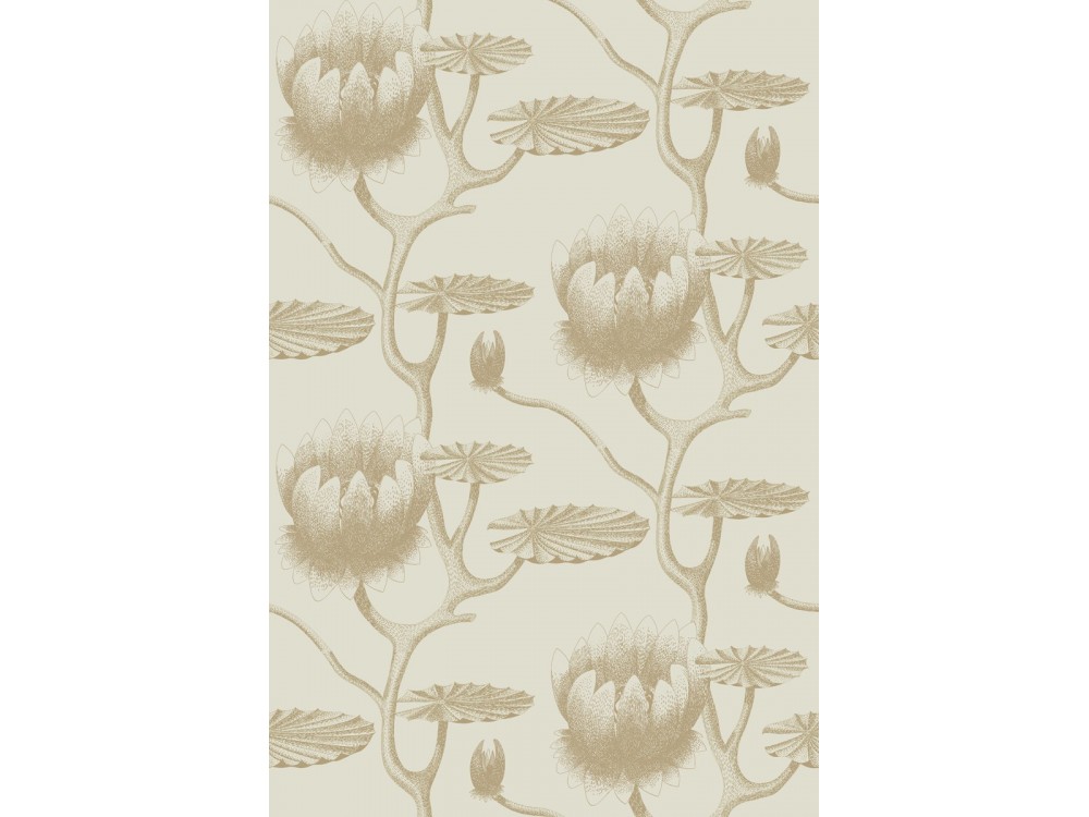 PAPEL PINTADO LILY COLE & SON