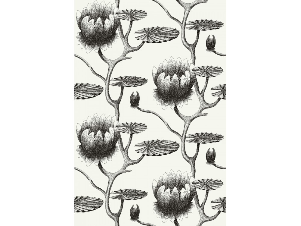 PAPEL PINTADO LILY COLE & SON