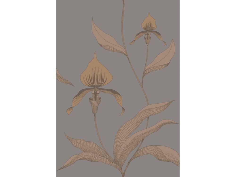 PAPEL PINTADO ORCHID COLE & SON