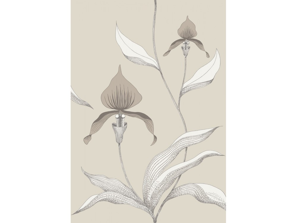 PAPEL PINTADO ORCHID COLE & SON