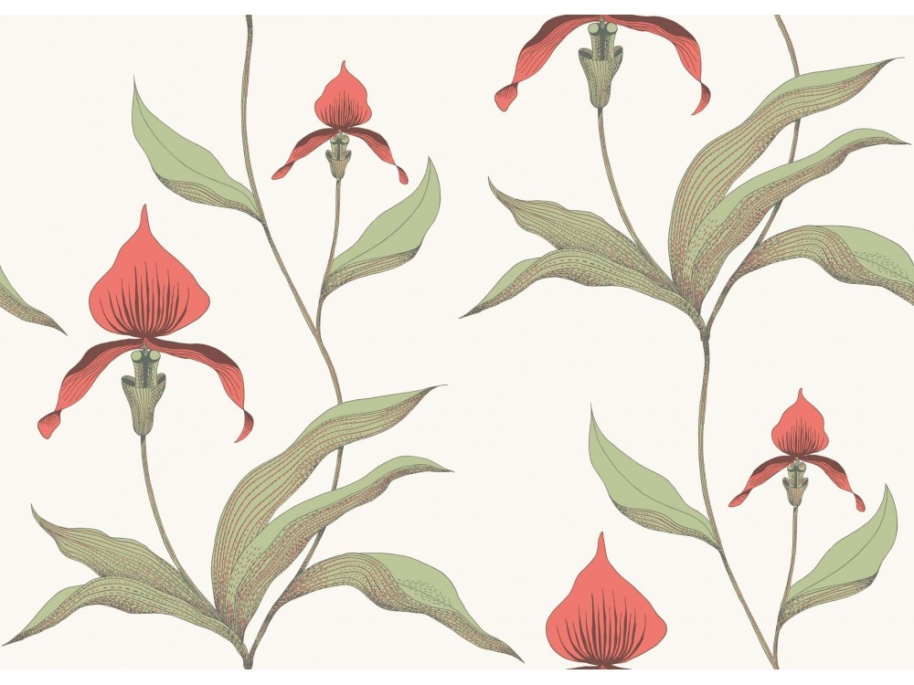 PAPEL PINTADO ORCHID COLE & SON