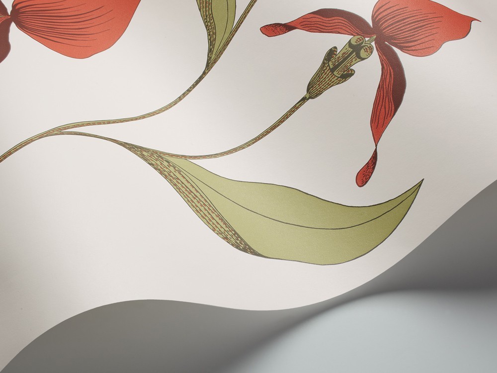 PAPEL PINTADO ORCHID COLE & SON