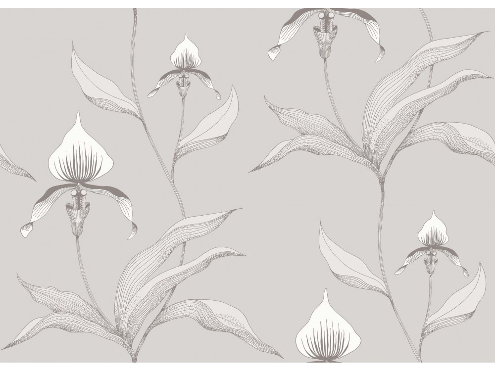 PAPEL PINTADO ORCHID COLE & SON
