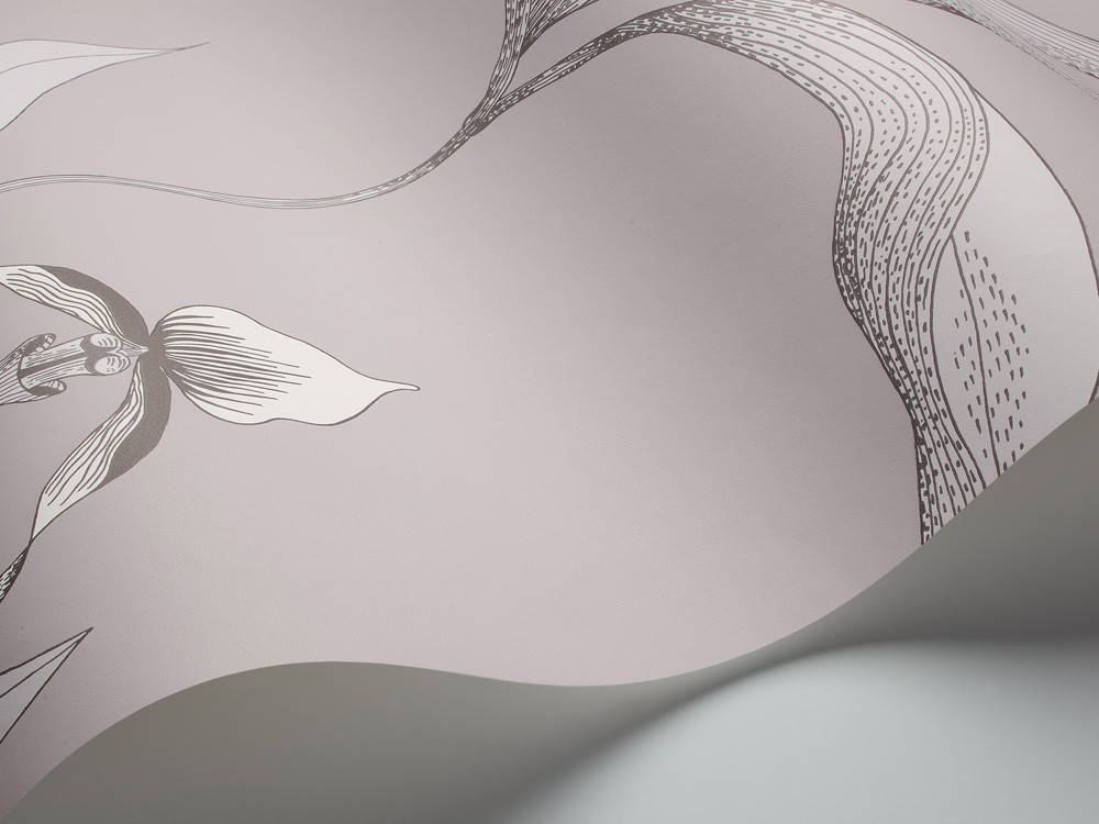 PAPEL PINTADO ORCHID COLE & SON