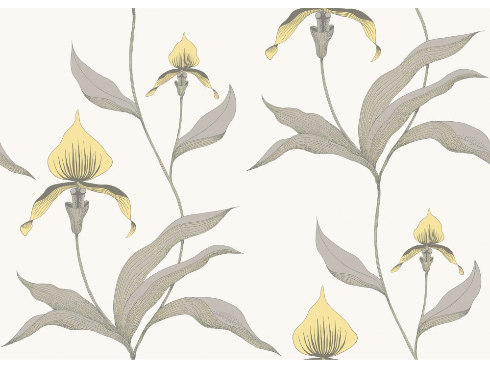 PAPEL PINTADO ORCHID COLE & SON