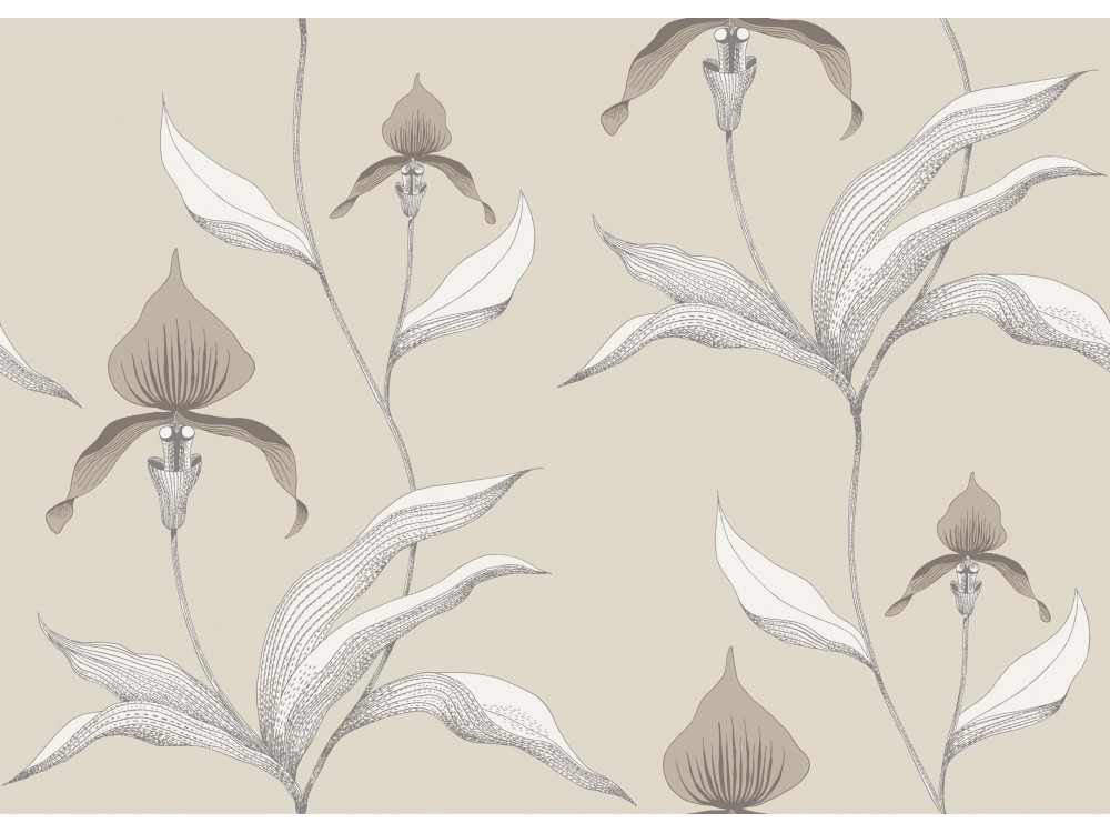 PAPEL PINTADO ORCHID COLE & SON