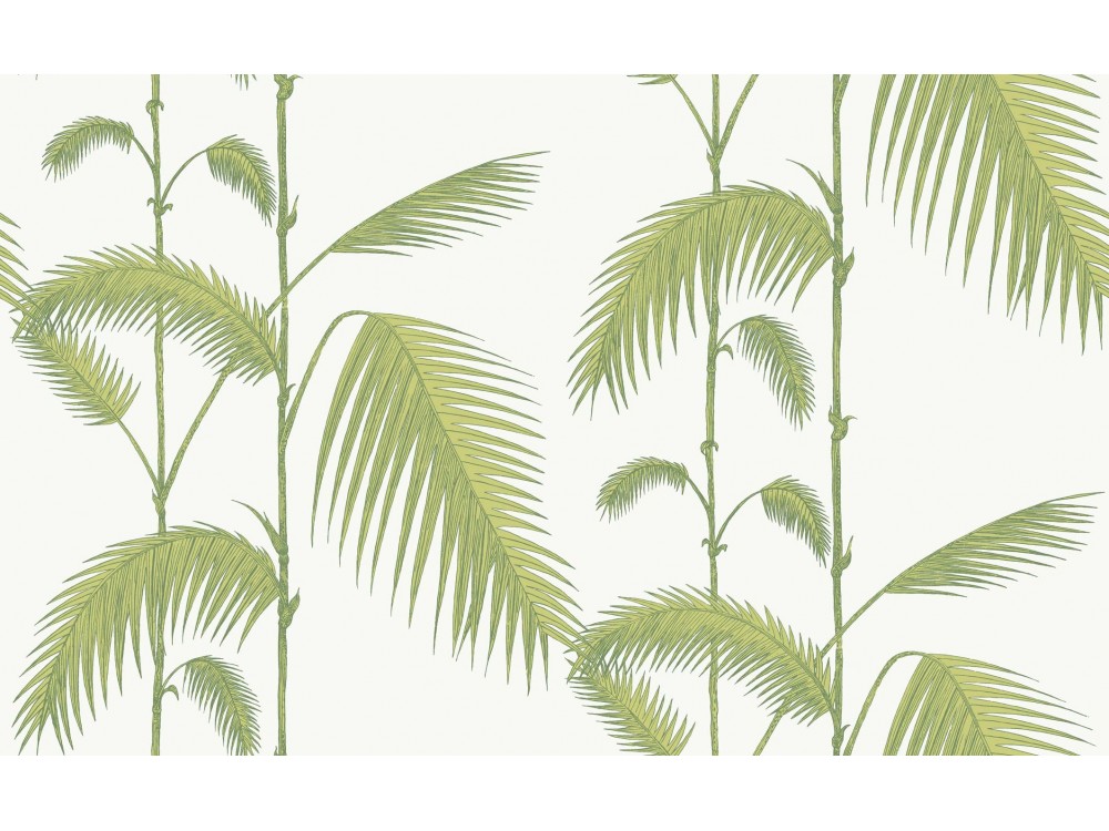 PAPEL PINTADO PALM COLE & SON