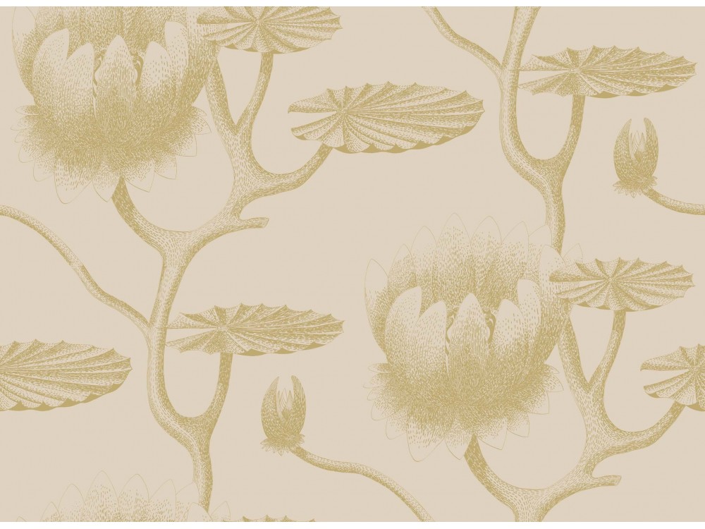 PAPEL PINTADO LILY COLE & SON