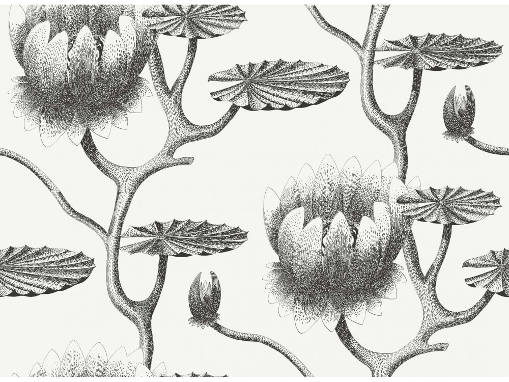 PAPEL PINTADO LILY COLE & SON