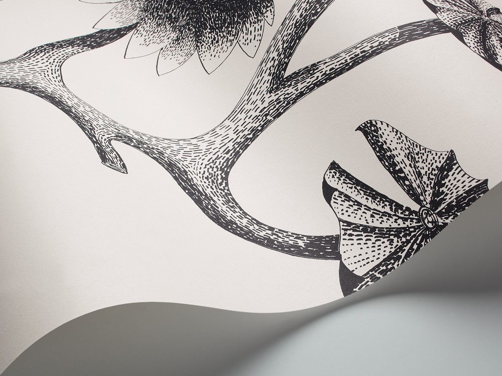 PAPEL PINTADO LILY COLE & SON