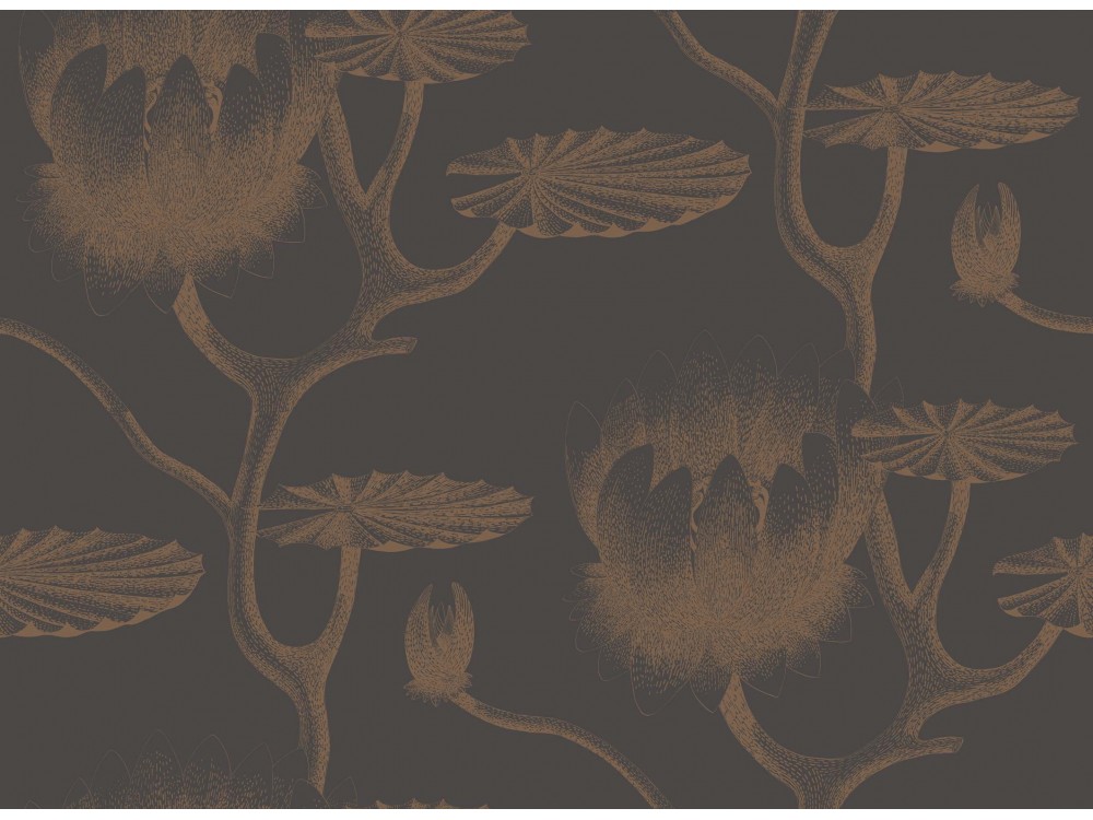 PAPEL PINTADO LILY COLE & SON