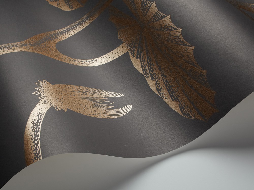 PAPEL PINTADO LILY COLE & SON