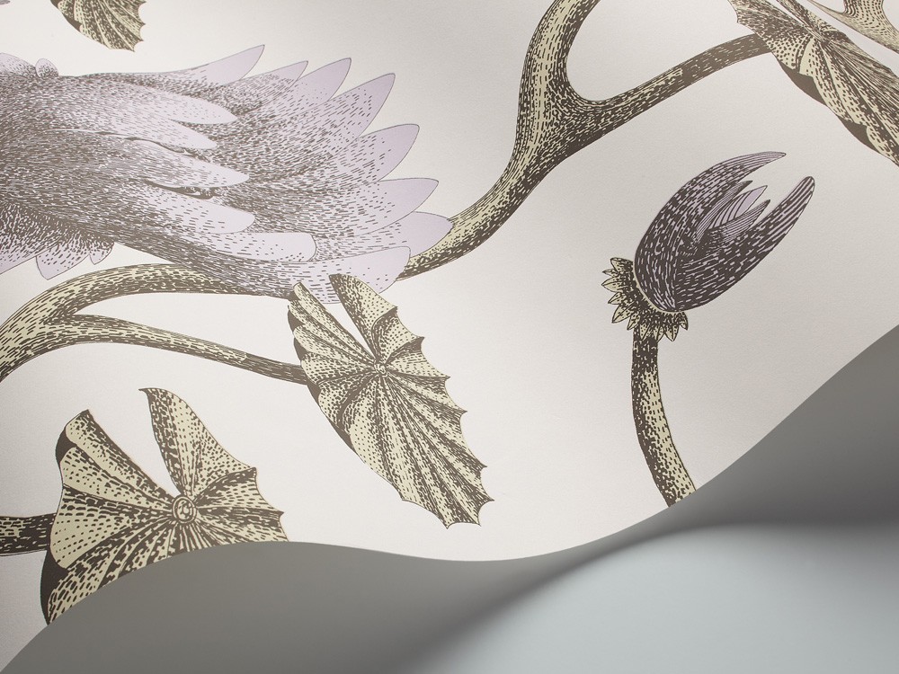 PAPEL PINTADO COW PARSLEY COLE & SON