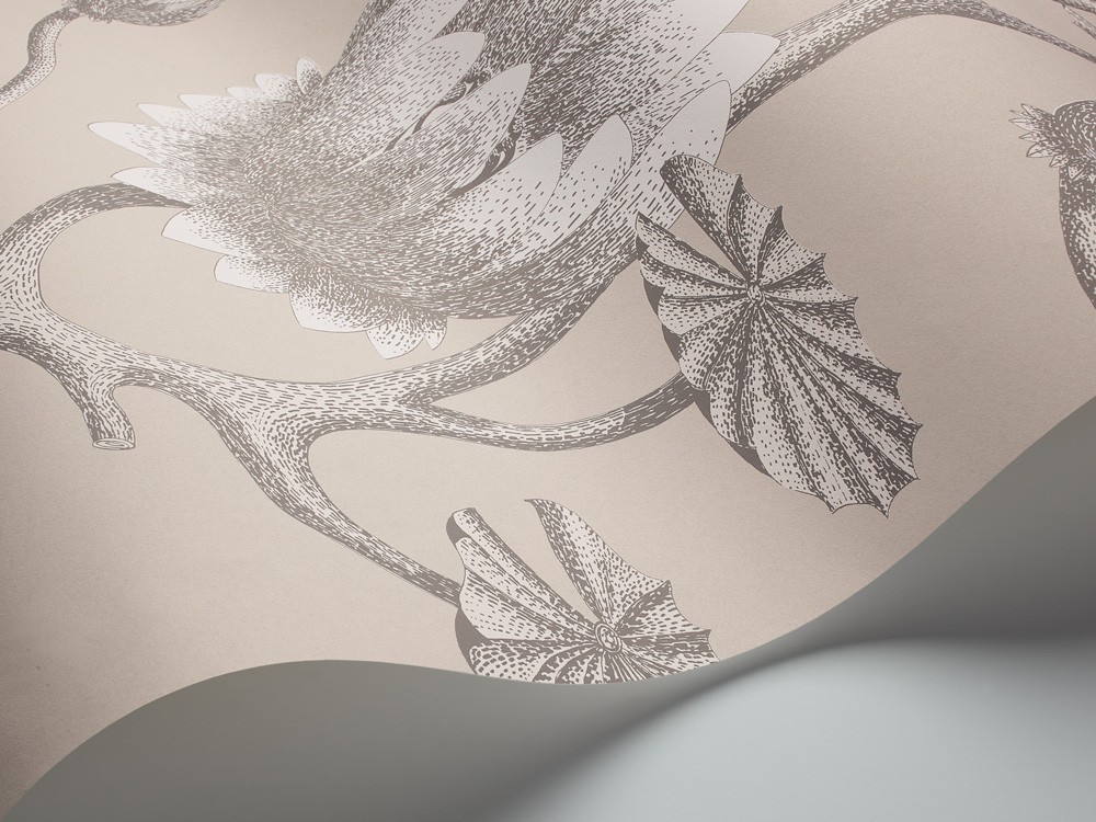 PAPEL PINTADO COW PARSLEY COLE & SON