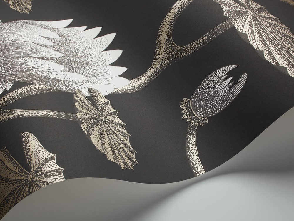 PAPEL PINTADO COW PARSLEY COLE & SON