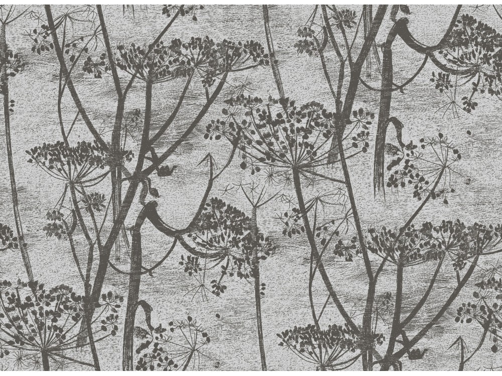 PAPEL PINTADO COW PARSLEY COLE & SON