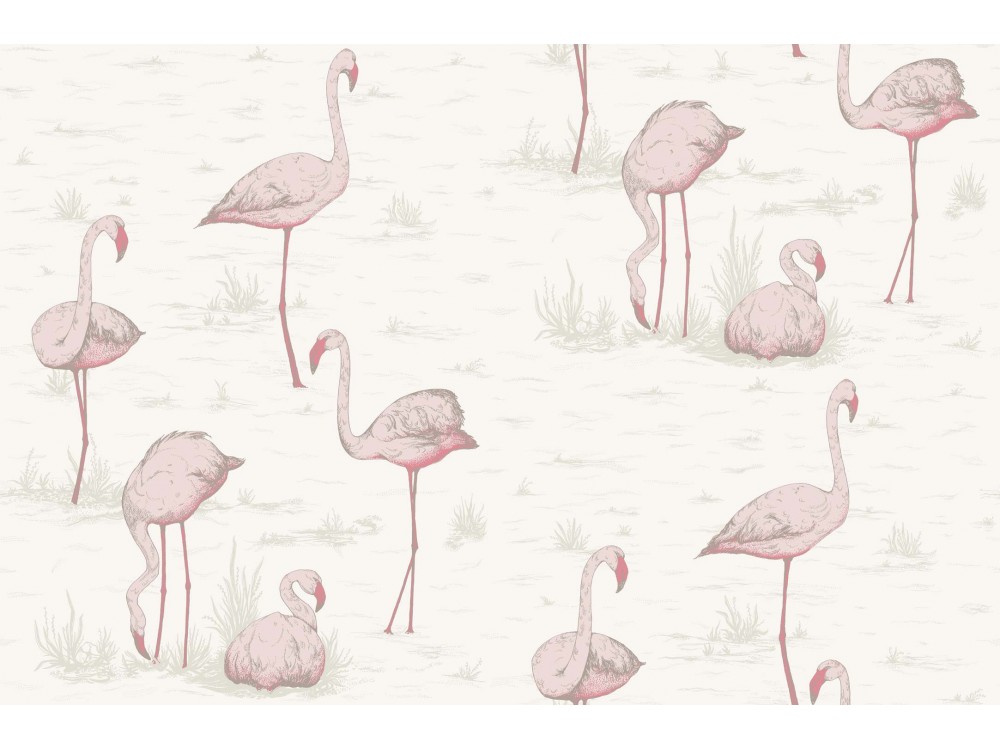 PAPEL PINTADO FLAMINGOS COLE & SON