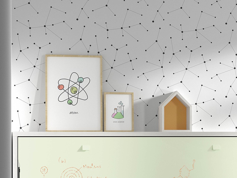 Cuadro Mini Scientist Ros Mini - 3