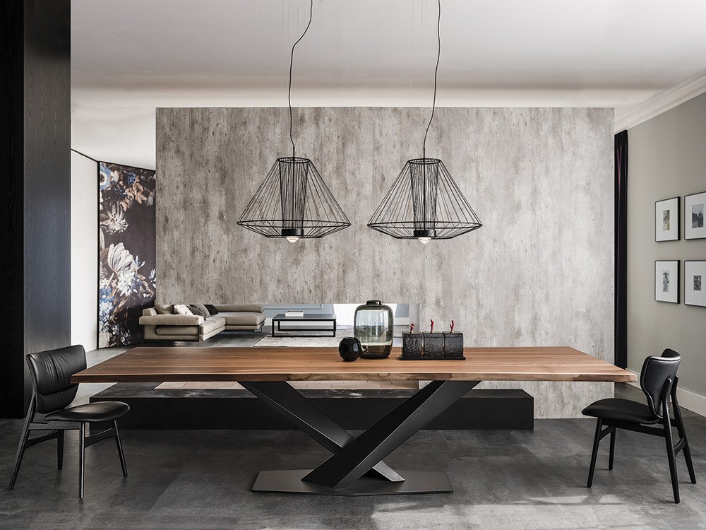 Silla Dumbo Cattelan Italia - 11